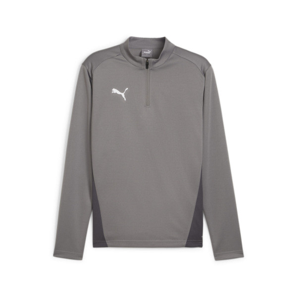 Puma teamGOAL Training 1/4 Zip Top grau Herren - Bild 1