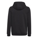 ENT22 HOODY Y