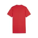 Puma teamGLORY Trikot rot Damen