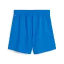 Puma teamGOAL Shorts blau Damen