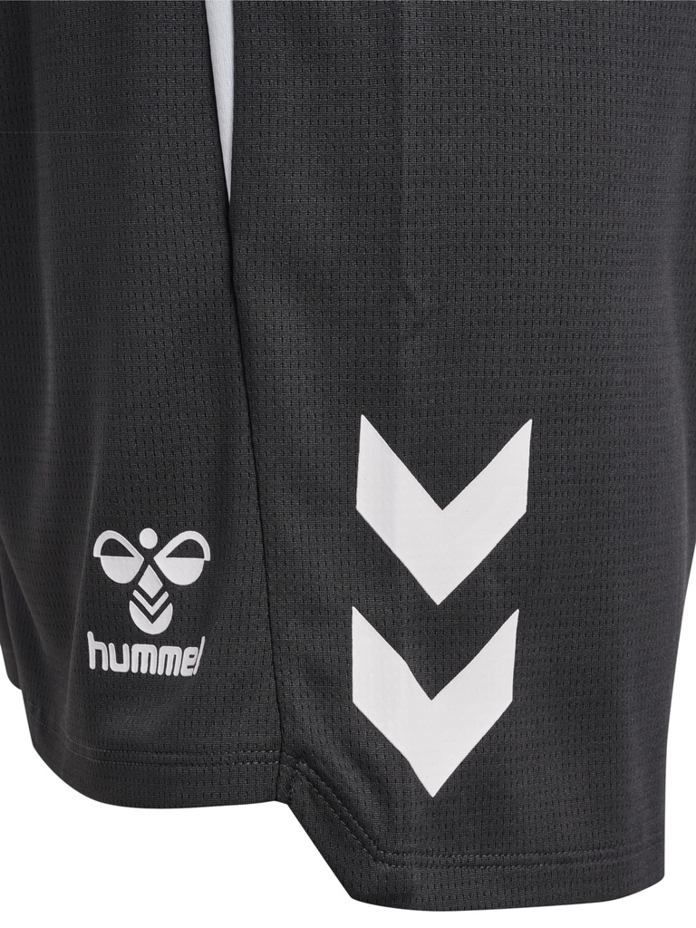 Hummel Lead 2.0 Shorts grau