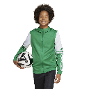adidas Squadra 25 Kapuzenjacke grün Kinder