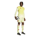 adidas Tiro 24 Shorts gelb 