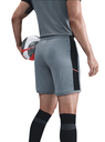 Nike Academy Dri Fit Shorts grau
