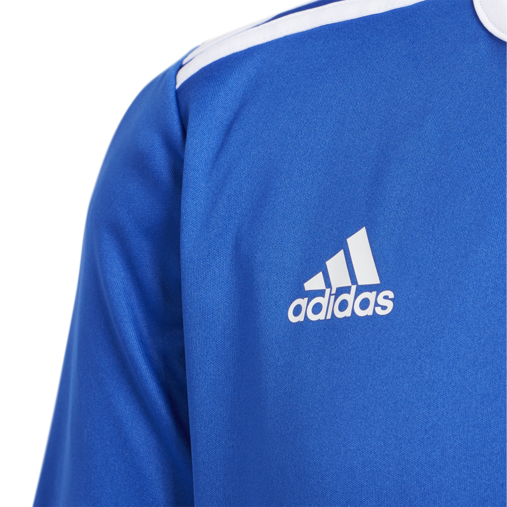 adidas Entrada 18 Trikot blau Kinder