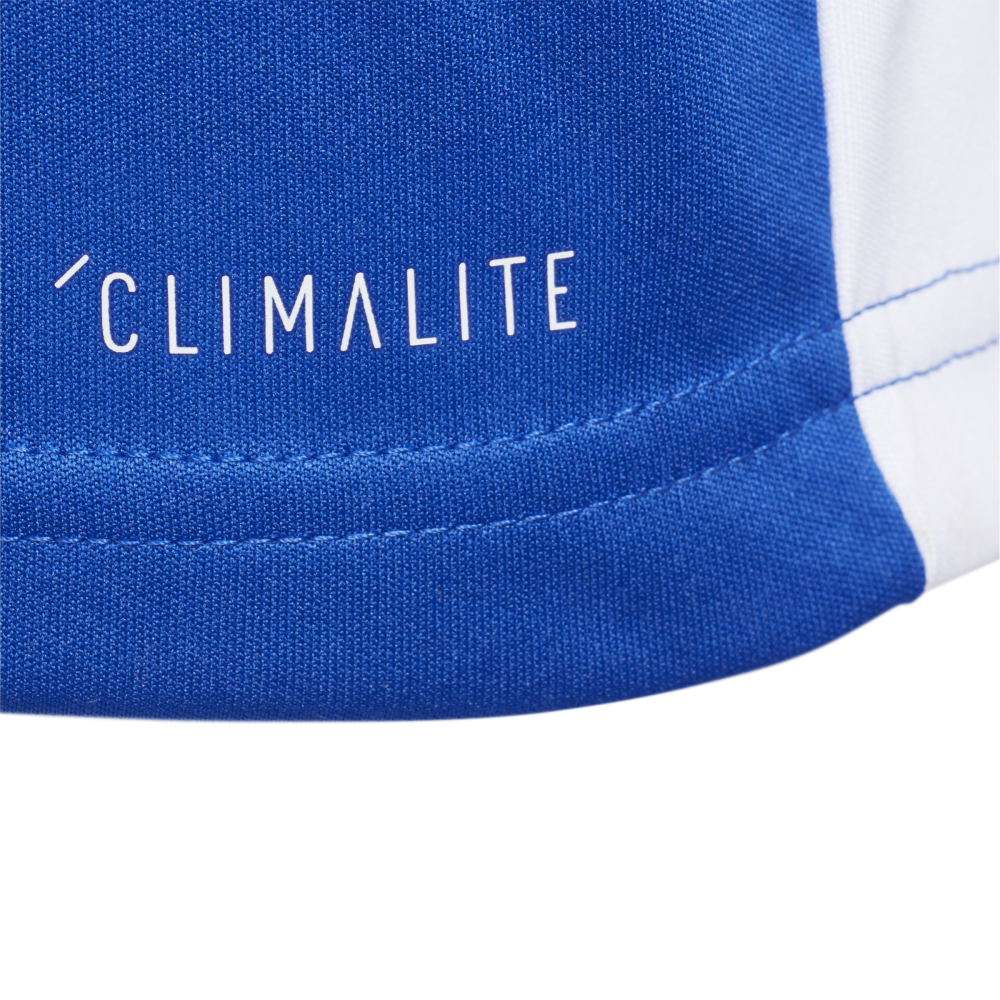 adidas Entrada 18 Trikot blau Kinder