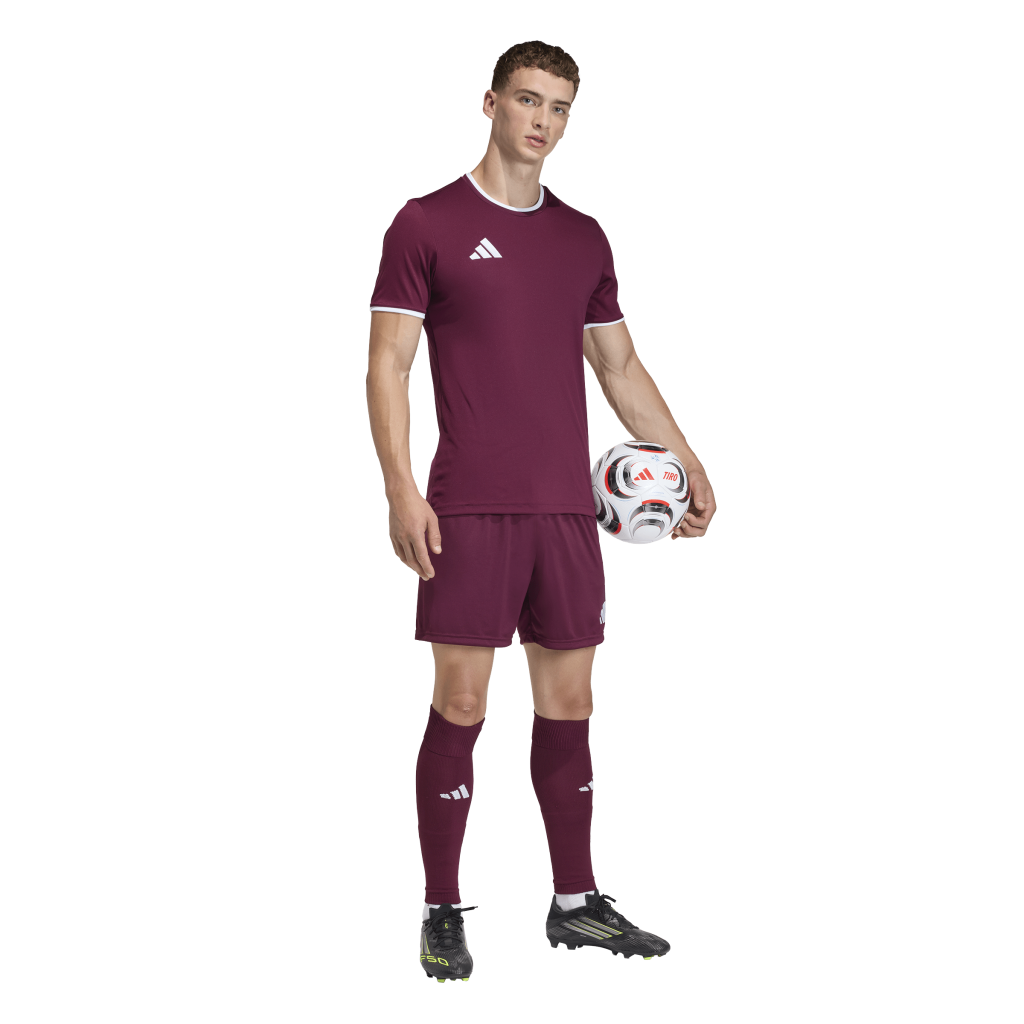 adidas Entrada 26 Shorts rot 