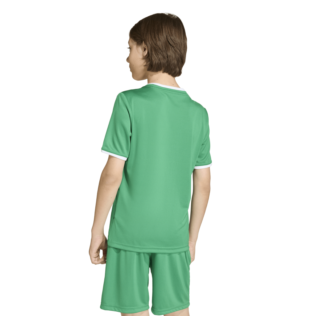 adidas Entrada 26 Trikot grün Kinder