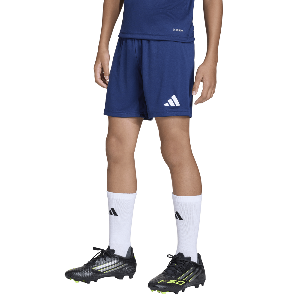 adidas Entrada 26 Shorts blau Kinder 