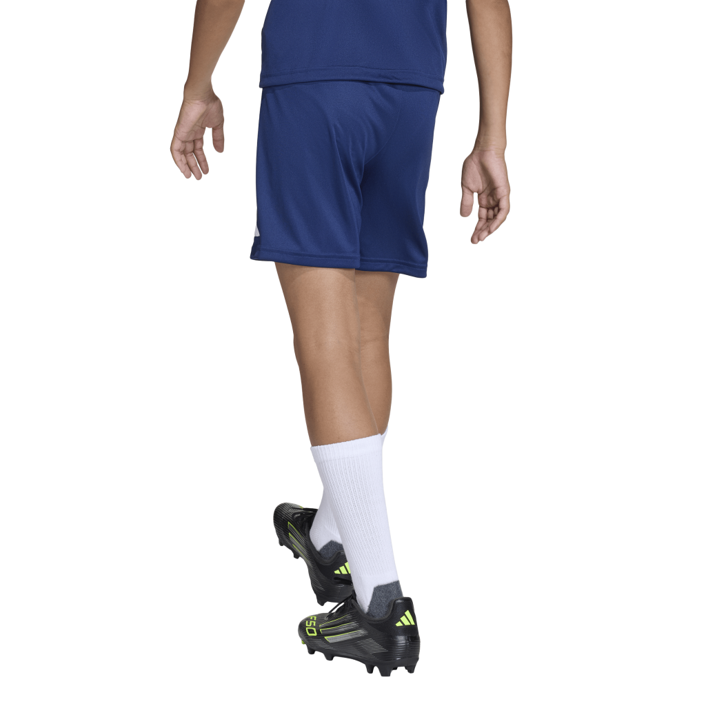 adidas Entrada 26 Shorts blau Kinder 