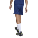 adidas Entrada 26 Shorts blau Kinder 