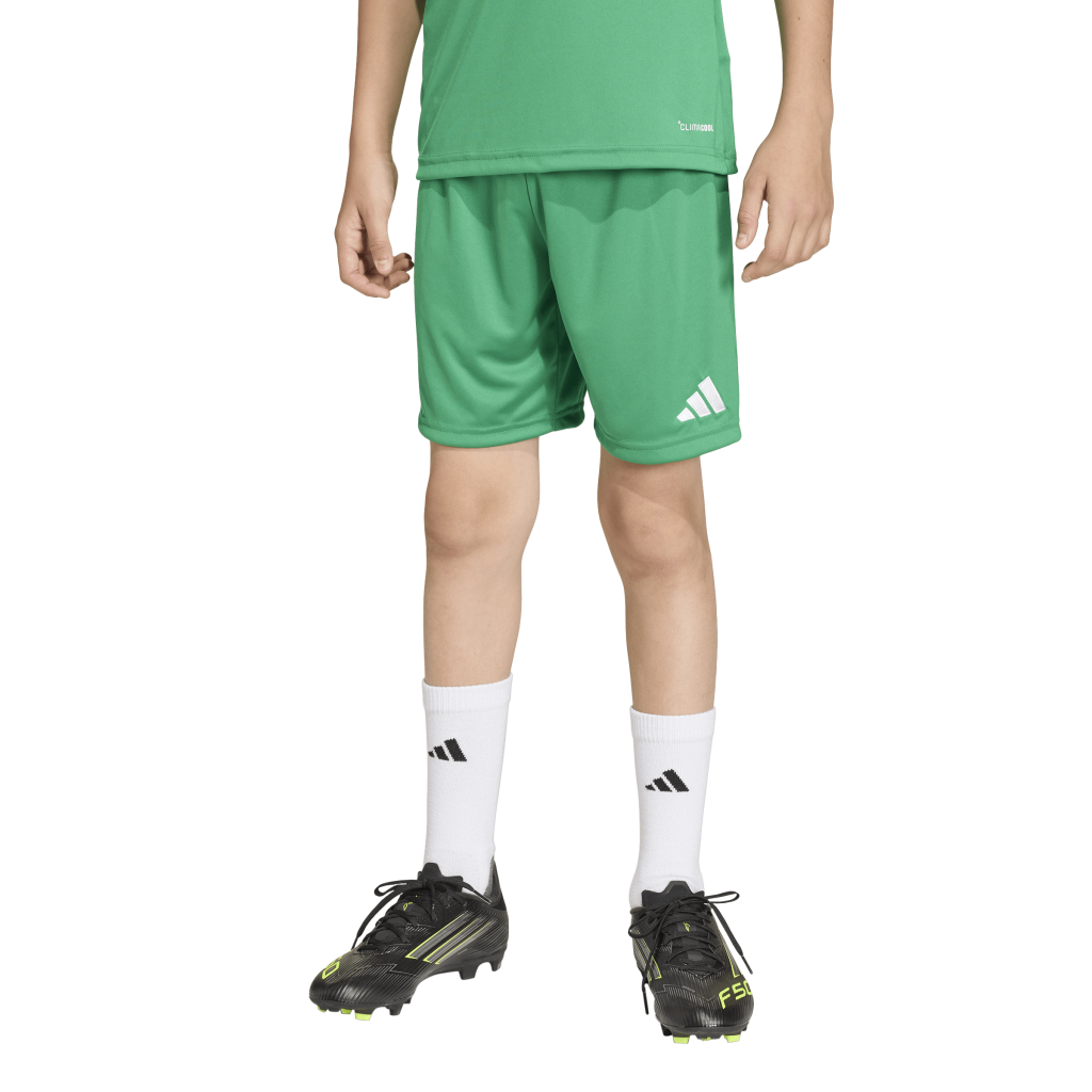adidas Entrada 26 Shorts grün Kinder 