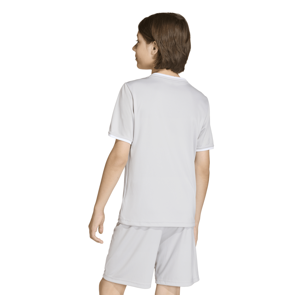 adidas Entrada 26 Trikot grau Kinder