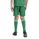 adidas Tiro 26 Competition Match Day Shorts grün Kinder 