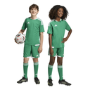 adidas Tiro 26 Competition Match Day Shorts grün Kinder 