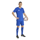 adidas Entrada 26 Trikot blau 