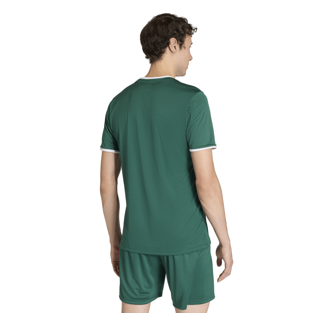 adidas Entrada 26 Trikot grün 