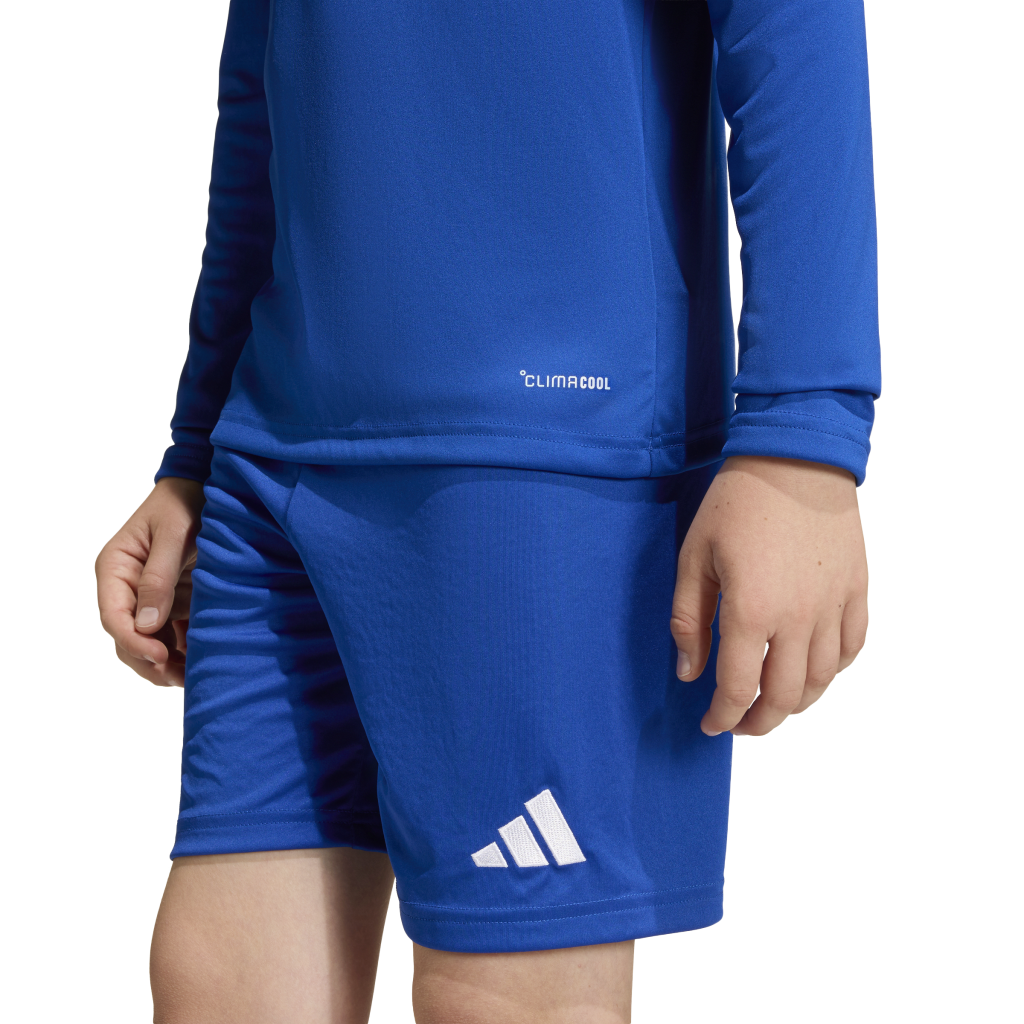 adidas Entrada 26 Trikot Langarm blau Kinder
