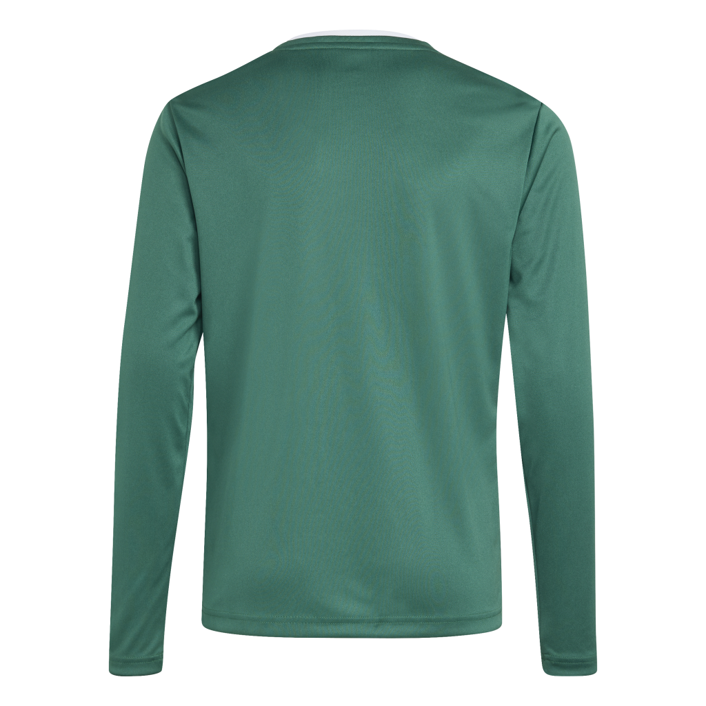 adidas Entrada 26 Trikot Langarm grün Kinder
