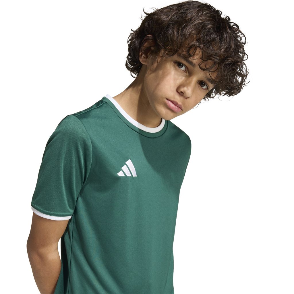 adidas Entrada 26 Trikot grün Kinder