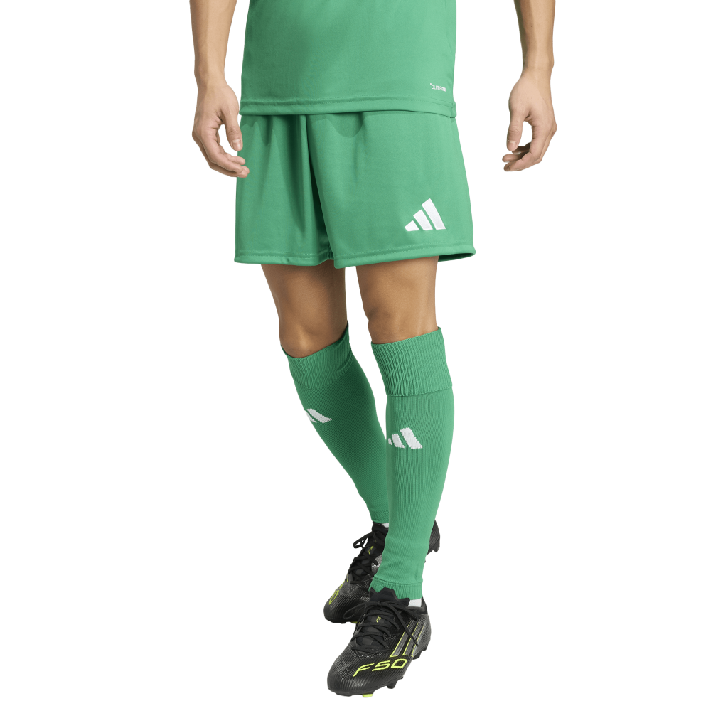 adidas Entrada 26 Shorts grün 