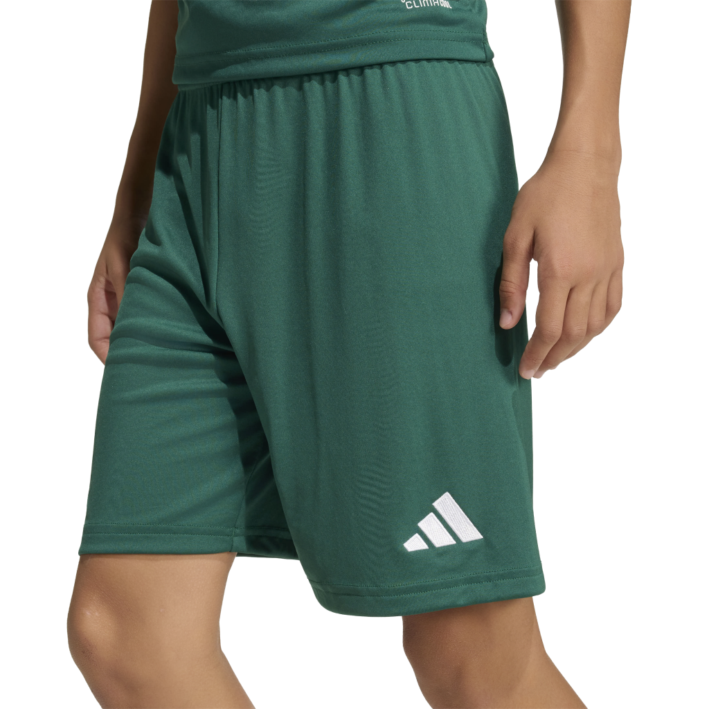 adidas Entrada 26 Shorts grün Kinder 