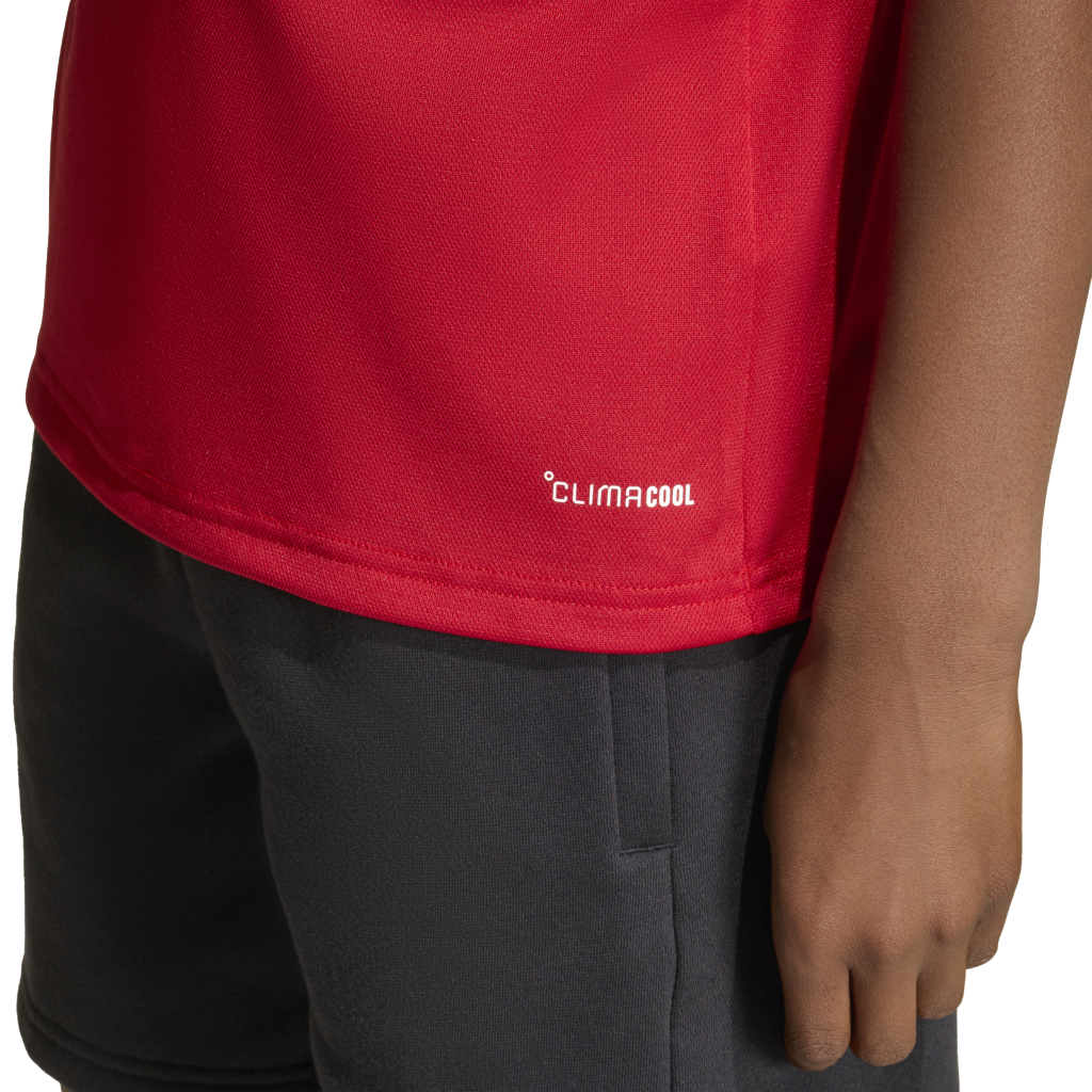 adidas Entrada 26 Poloshirt rot Kinder 