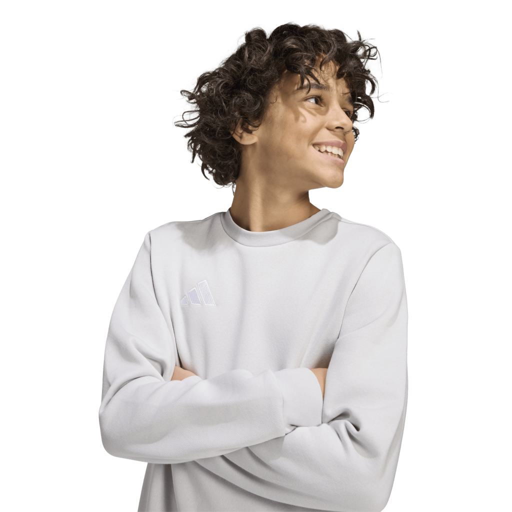  adidas Entrada 26 Sweatshirts grau Kinder