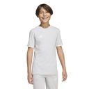  adidas Entrada 26 T-Shirt grau Kinder