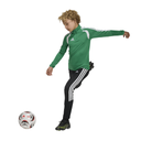 adidas Tiro 26 League Trainingstop grün Kinder