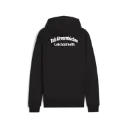 TuS Altwarmbüchen Puma teamGOAL Casuals Hoodie schwarz Kinder 