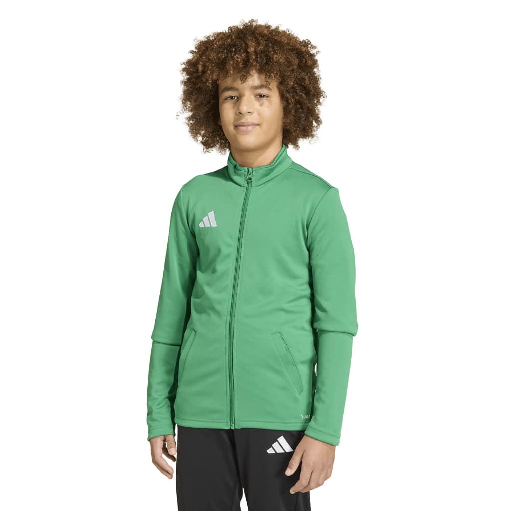 adidas Entrada 26 Trainingsjacke grün Kinder 