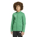 adidas Entrada 26 Trainingsjacke grün Kinder 