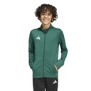 adidas Entrada 26 Trainingsjacke grün Kinder 
