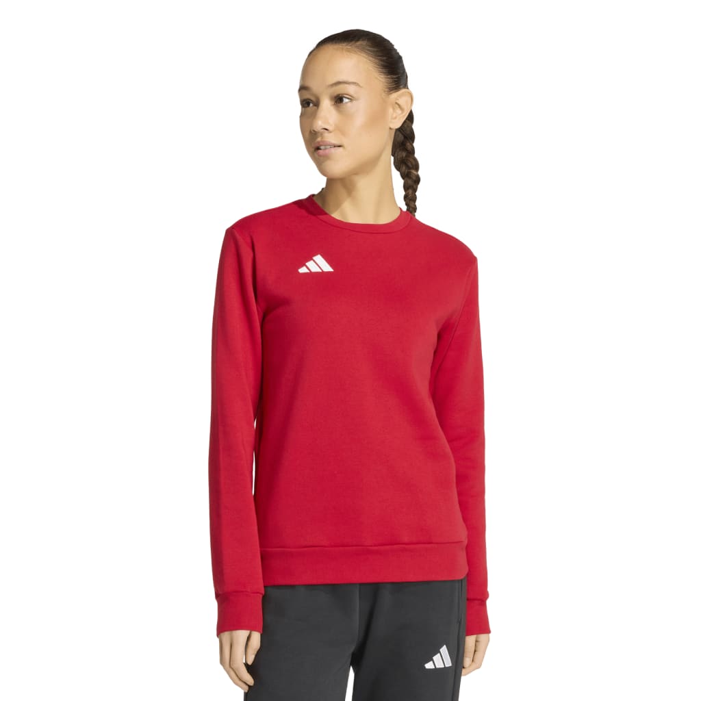  adidas Entrada 26 Sweatshirt rot Damen