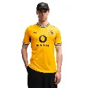 Puma Borussia Dortmund 26/27 Heimtrikot gelb