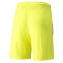 Puma_teamLIGA_Shorts_gelb_Kinder_232513239KTT03_1.jpg