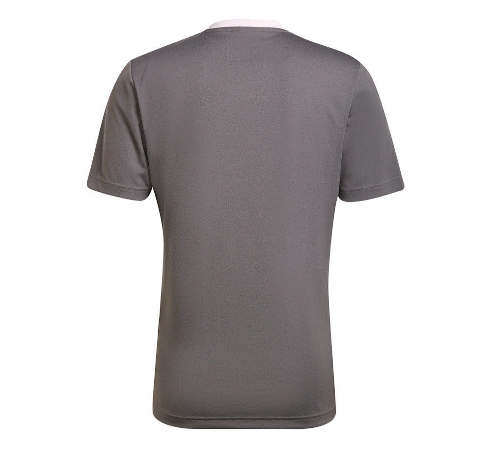 adidas_Entrada_22_Trikot_grau_Herren_232904861TEA01_1.jpg