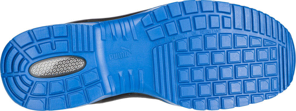 375311119-6.jpg