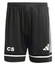 TSV Burgdorf Trainingsshorts schwarz