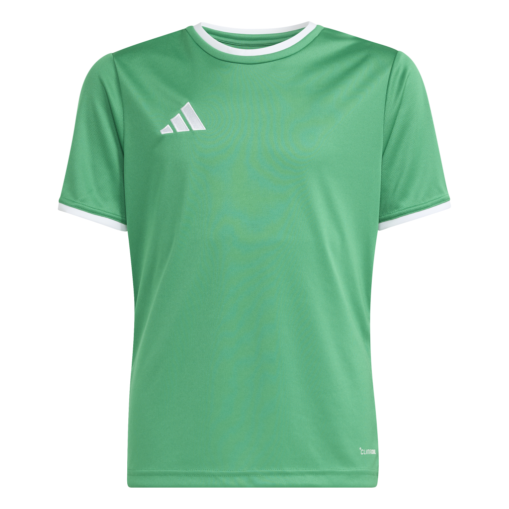 adidas Entrada 26 Trikot grün Kinder