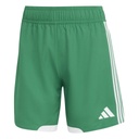adidas Tiro 26 Competition Match Day Shorts grün Damen 