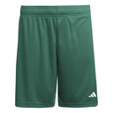 adidas Entrada 26 Shorts grün Kinder 