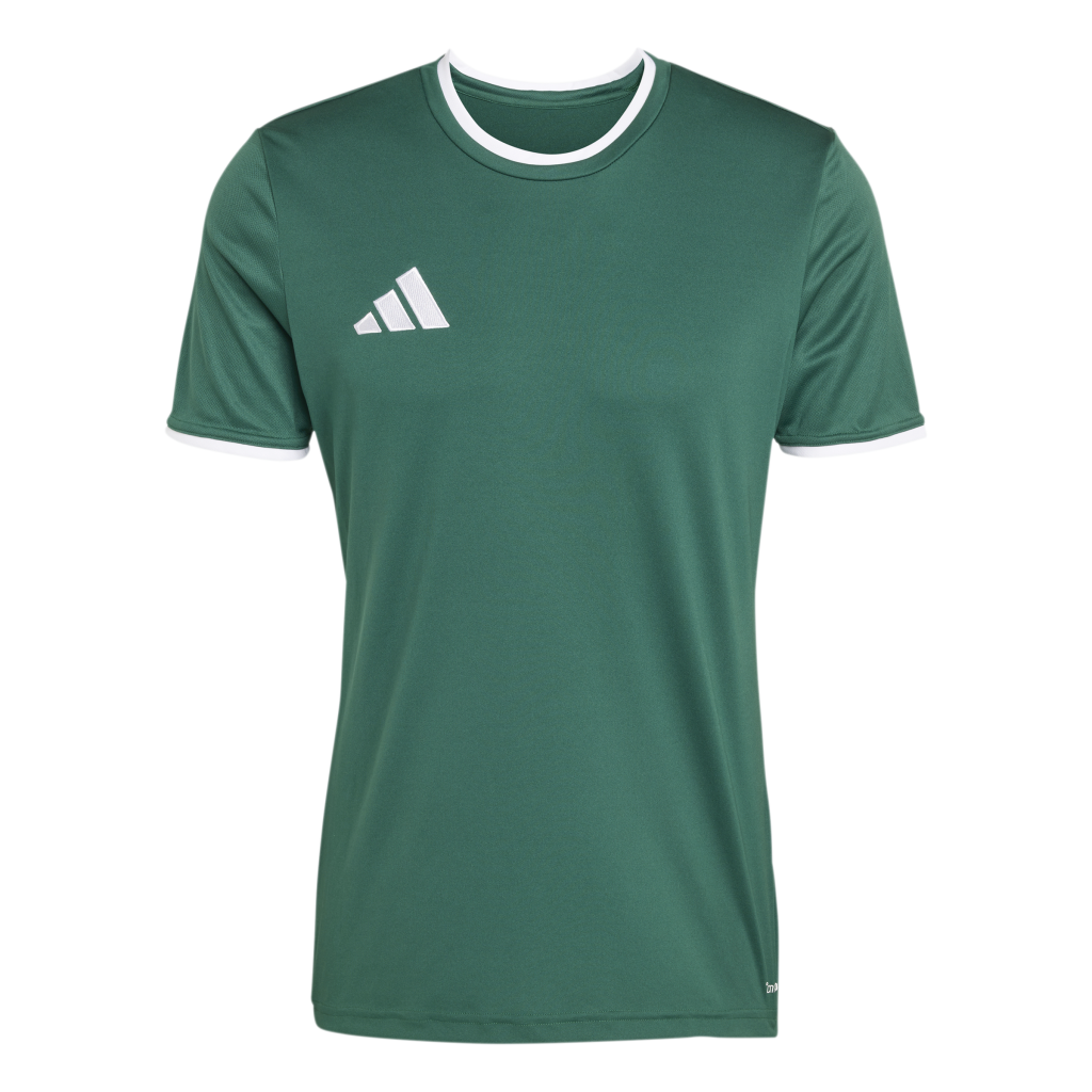 adidas Entrada 26 Trikot grün 