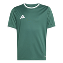adidas Entrada 26 Trikot grün Kinder