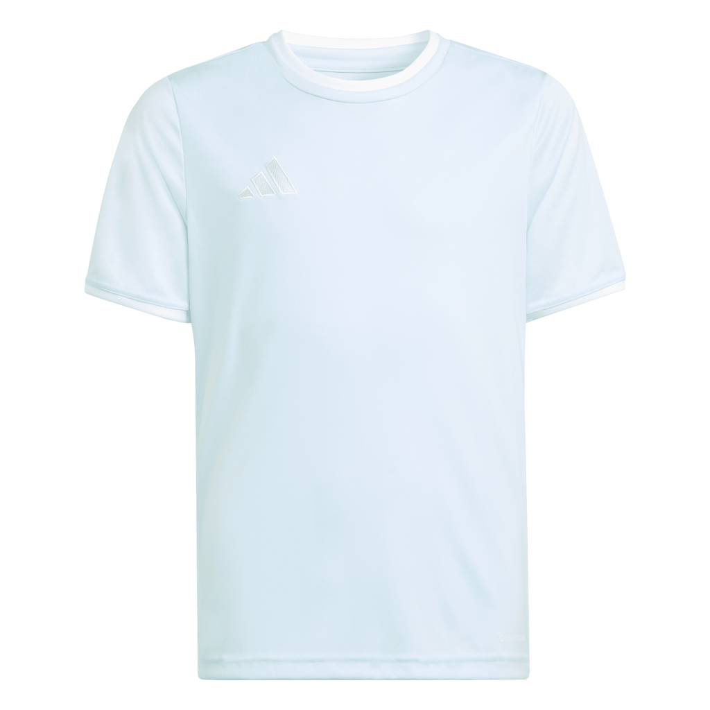 adidas Entrada 26 Trikot blau 