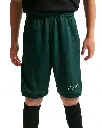 Nike Academy Dri-FIT Fußball Shorts grün Kinder