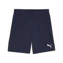 Puma teamGOAL Shorts dunkelblau