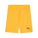 Puma teamGOAL Shorts gelb