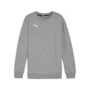 Puma teamGOAL Casuals Sweatshirt grau Kinder